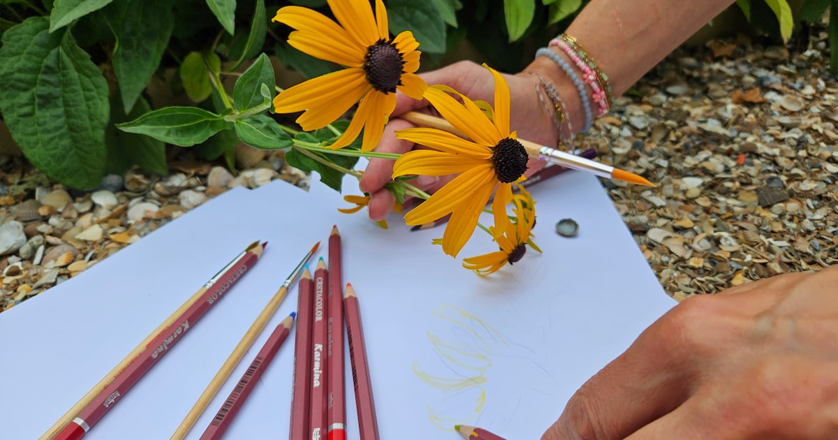 Workshop botanisch tekenen in bibliotheek Hilversum
