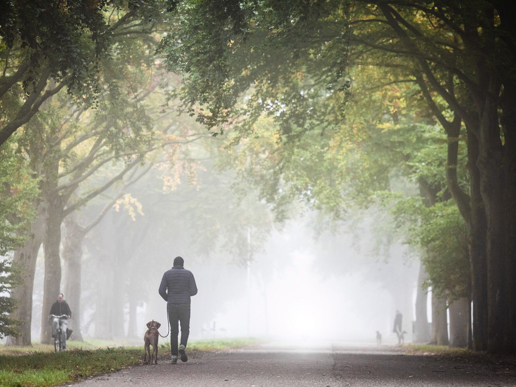 Opinie: ‘Bij komende verkiezingen valt er niets te kiezen over je gezondheid’