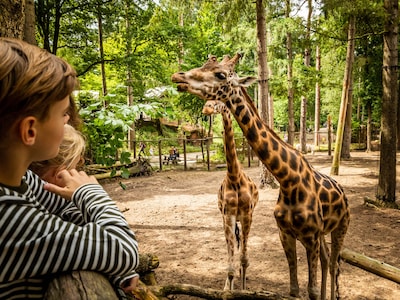 DierenPark Amersfoort