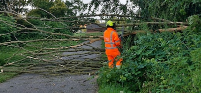 Brandweer verwijdert omgewaaide boom na storm in Appeltern