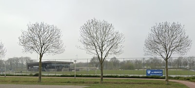 Bruheze krijgt toch nieuw kunstgrasveld, maar kleiner: 20 bij 30 meter