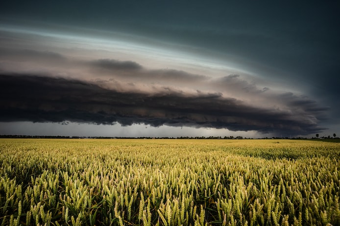 supercell-omgewaaide-bomen-en-ondergelopen-straten-code-oranje-ten