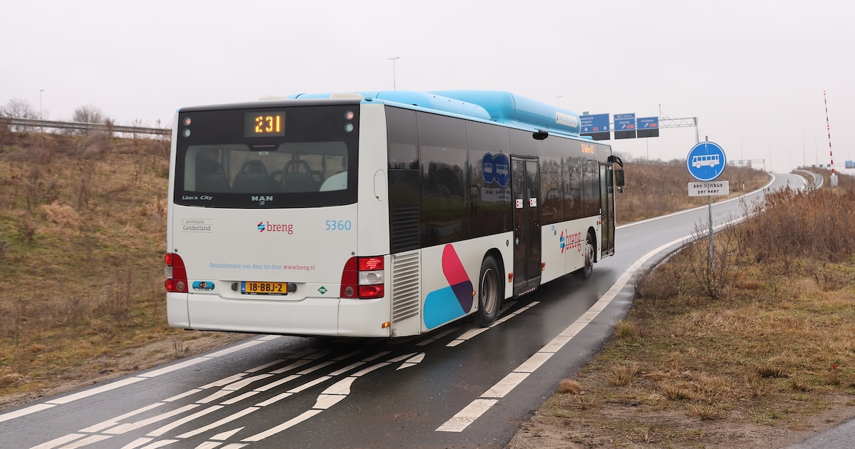 Opheffen buslijn: ‘Sponsoren van de ozb worden voor de bus gegooid’