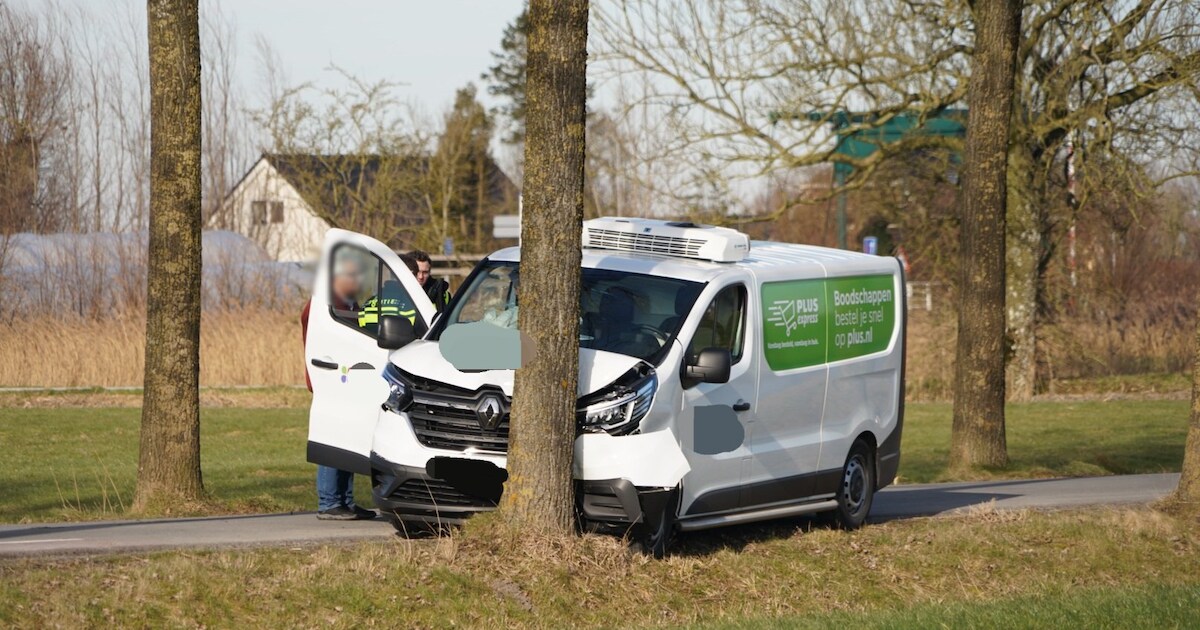 Bestelbus botst tegen boom langs Stadsweg in Ten Boer