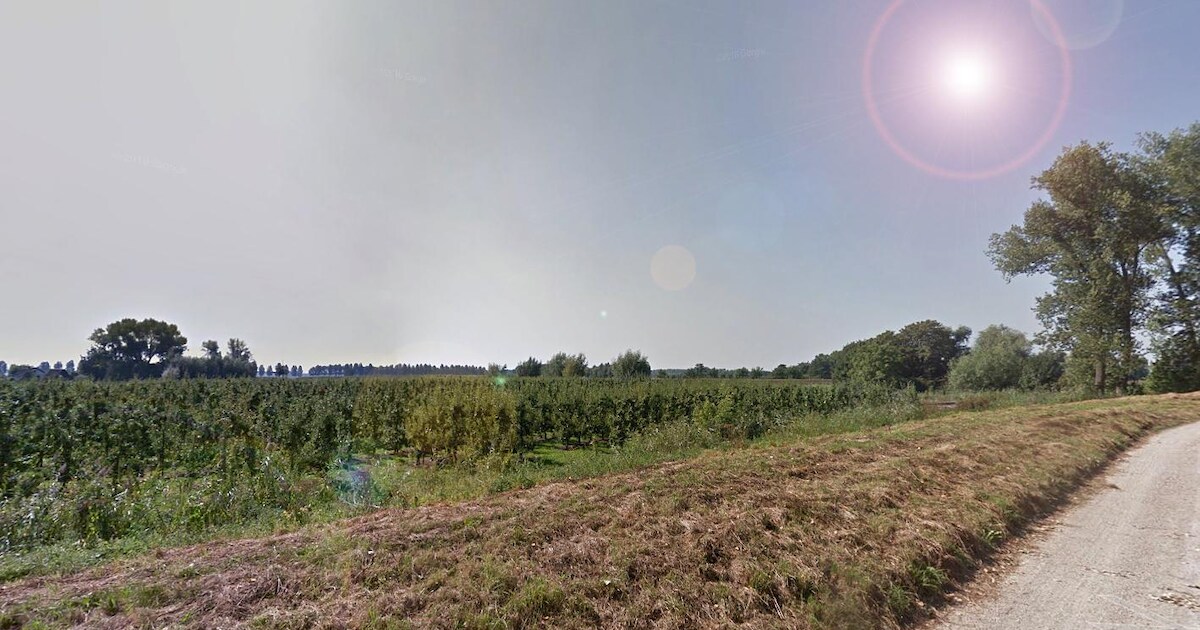 Tuimeldijk in Acquoy op de schop, gaten verleden tijd