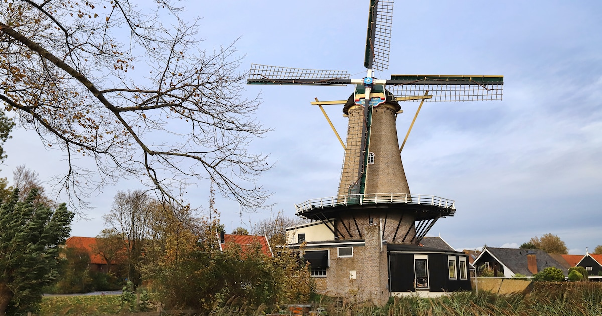 Lege Geervlietse restaurantmolen omgetoverd in woning: stukadoor trekt met gezin in rijksmonument