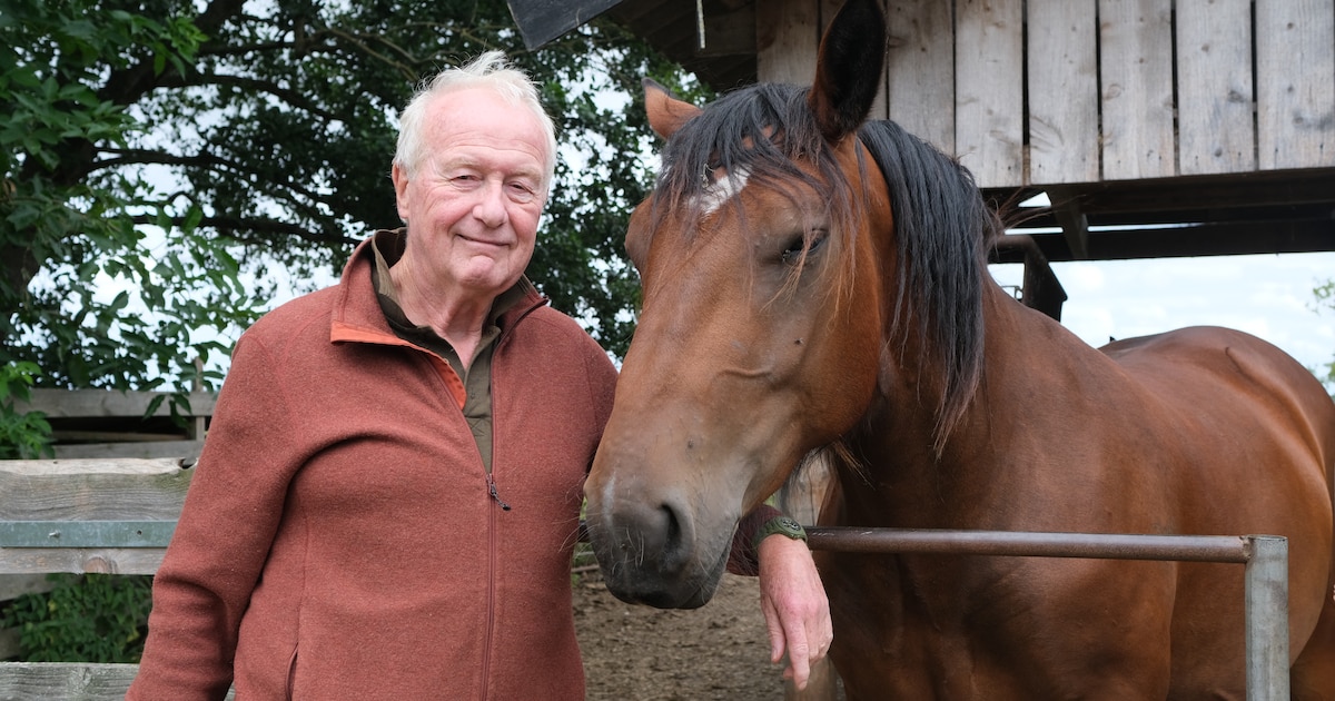 Geschiedenis? Nee hoor, Ron (76) werkt nog met trekpaarden voor ecologisch natuurbeheer en trekschui