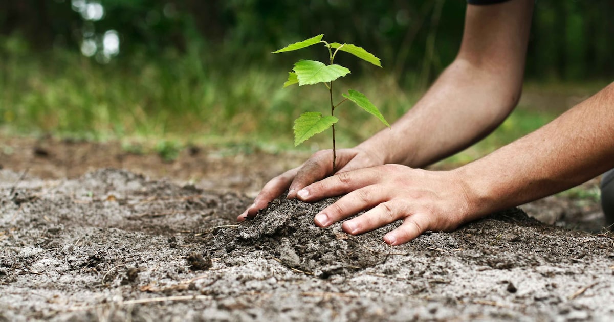 Tuinvergroeningsdag in Gendt