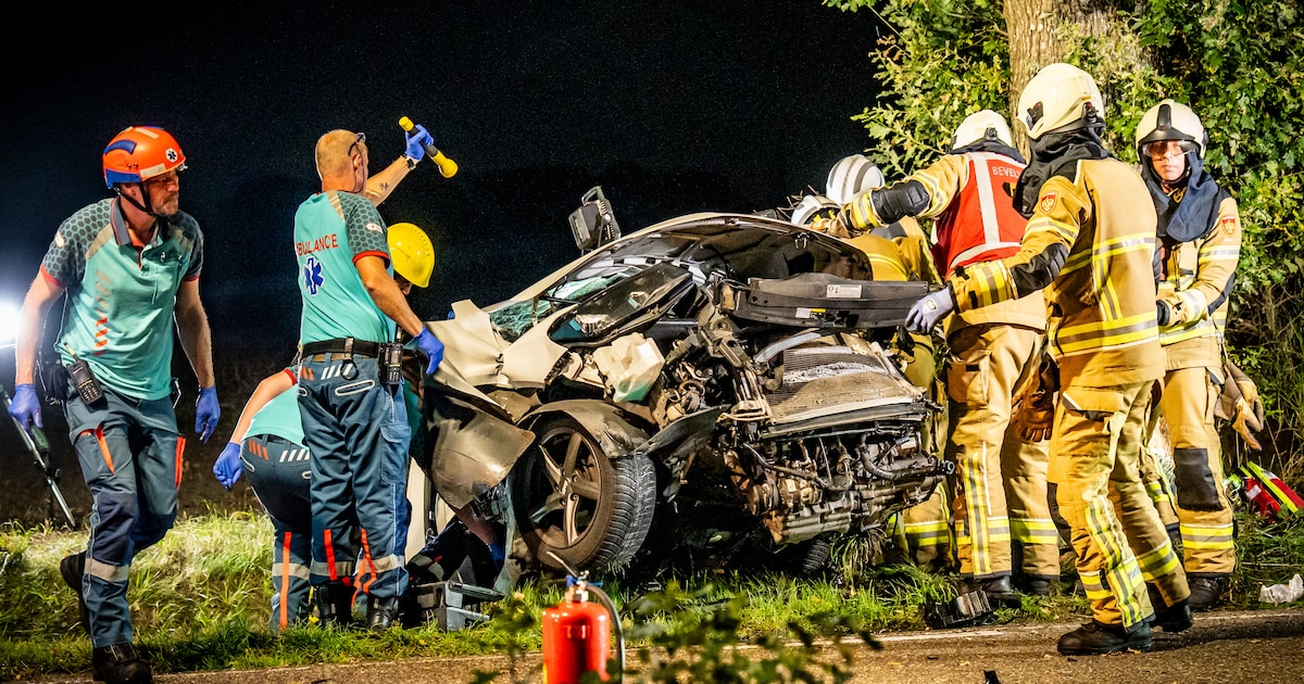 Bestelbus botst tegen boom in Hijken, één gewonde