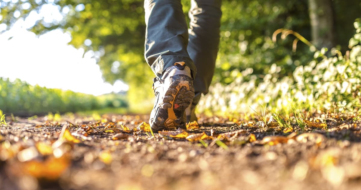 Seniorenwandeling 'de Winter' in kasteelpark Geldrop op 18 december