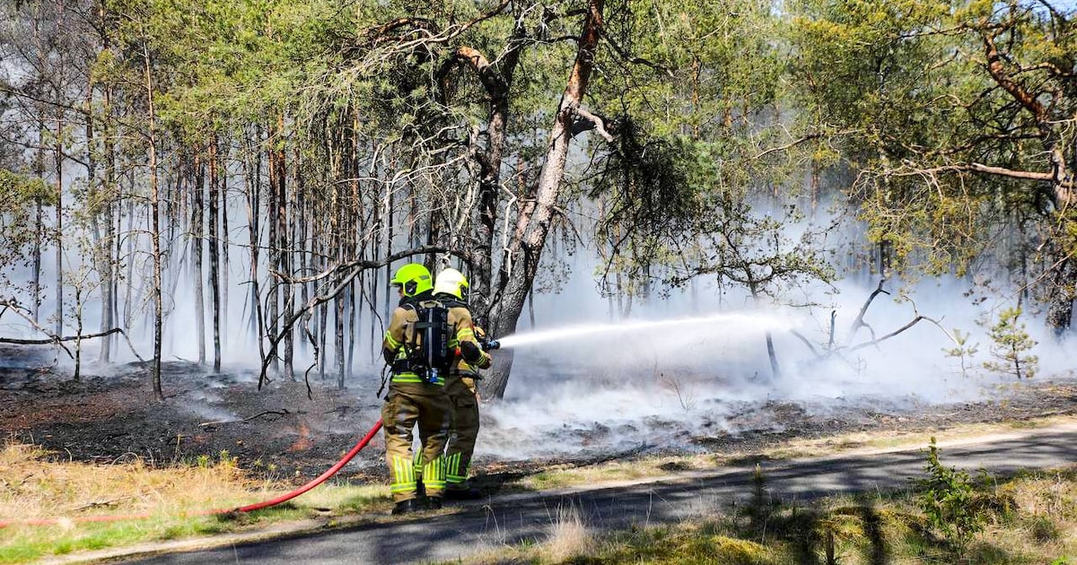 Groot stuk bos gaat in vlammen op langs A1 bij Kootwijk, brand inmiddels onder controle