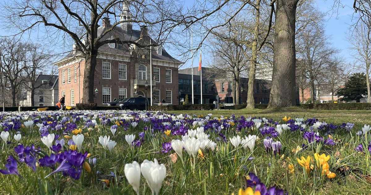 Gemeenteraad Heemstede bespreekt jeugdhulp en woningbouw