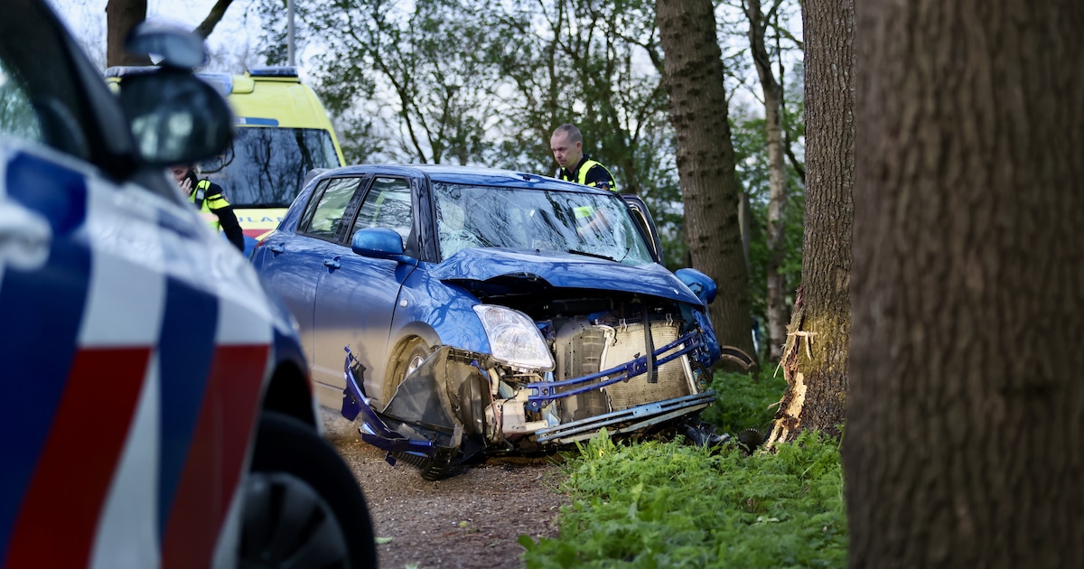 Bestuurder zwaargewond na botsing tegen boom in Drachtstercompagnie