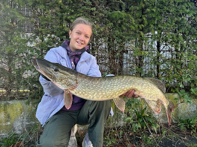 Sophie (11) is nauwelijks langer dan de enorme vissen die ze vangt en vestigt het ene record na het 