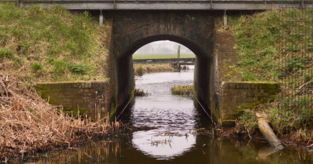 Veer en kogel (klein) voor het maalwerk