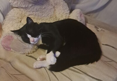 Image related to the article