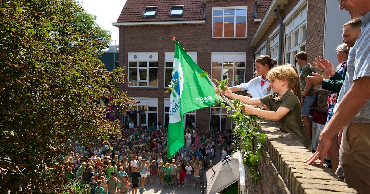 een-duurzame-talisman-geeft-groen-geluk-eindhoven-ad-nl