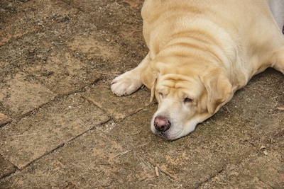 Image related to the article