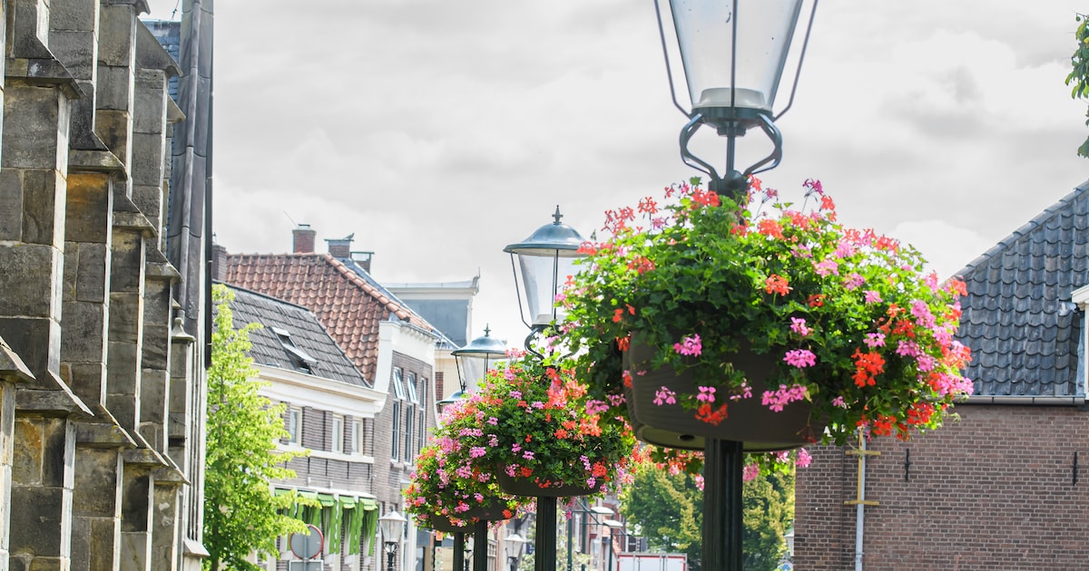Nog meer winkels sloten hun deuren, toch gaat het de goede kant op met winkelhart Haaksbergen