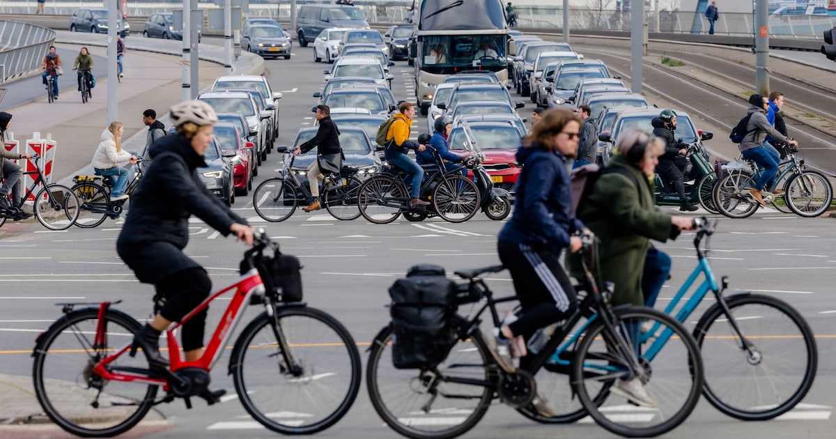 Fiets Muurbeugel Horizontaal Zwart | Fietspedaalophanging Opbergrek voor E- bikes, MTB, Stadsfietsen etc. | Binnenhanger voor garage en huis