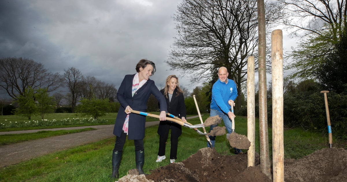 Gemeente Leeuwarden geeft gratis bomen weg
