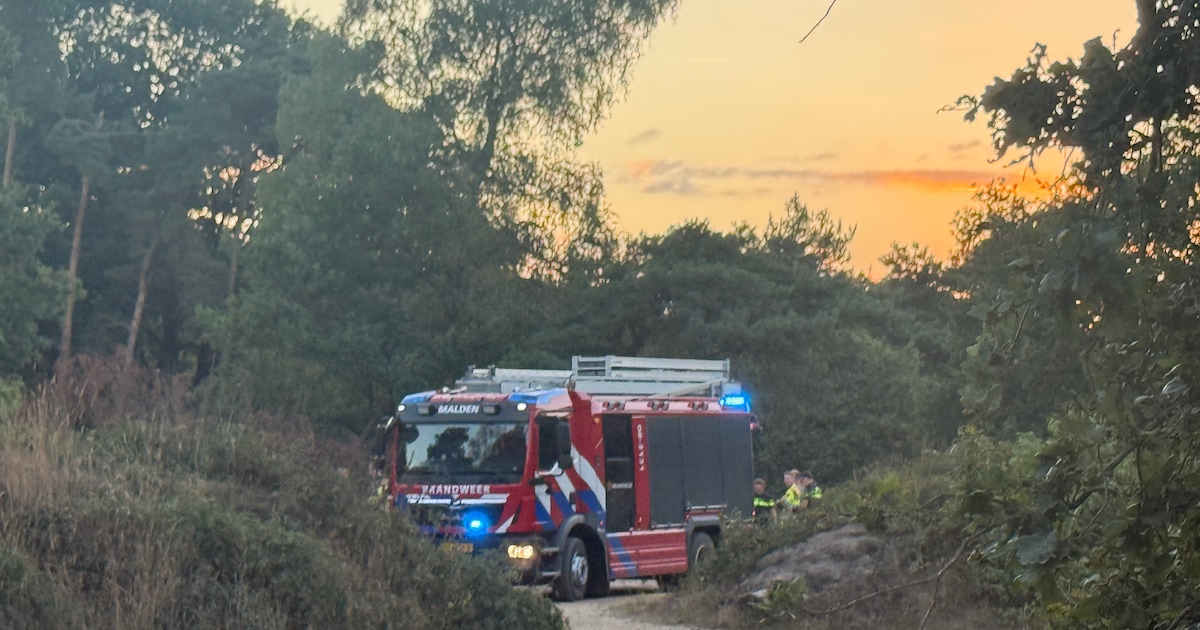 Vier tieners gezocht na mogelijke brandstichting in natuurgebied Heumensoord