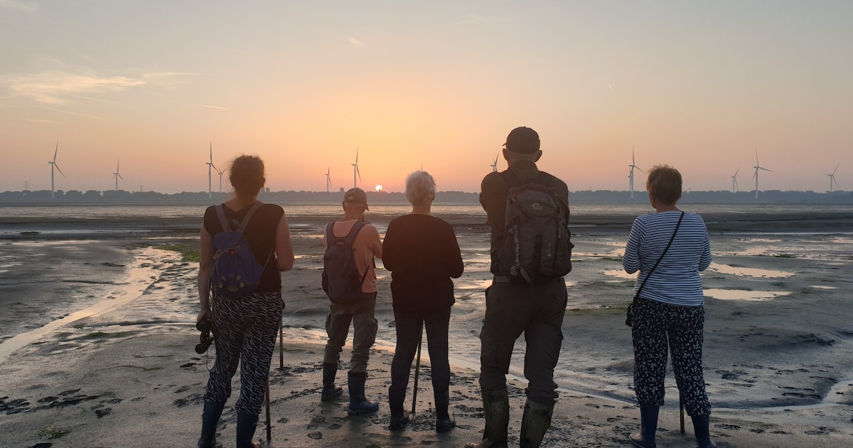 Excursie door Verdronken Land in Zuid-Beveland