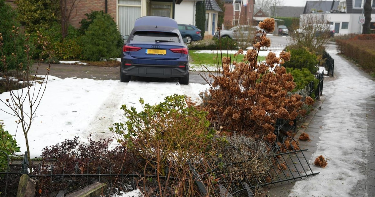 Auto ramt hek en eindigt in de tuin in Twello
