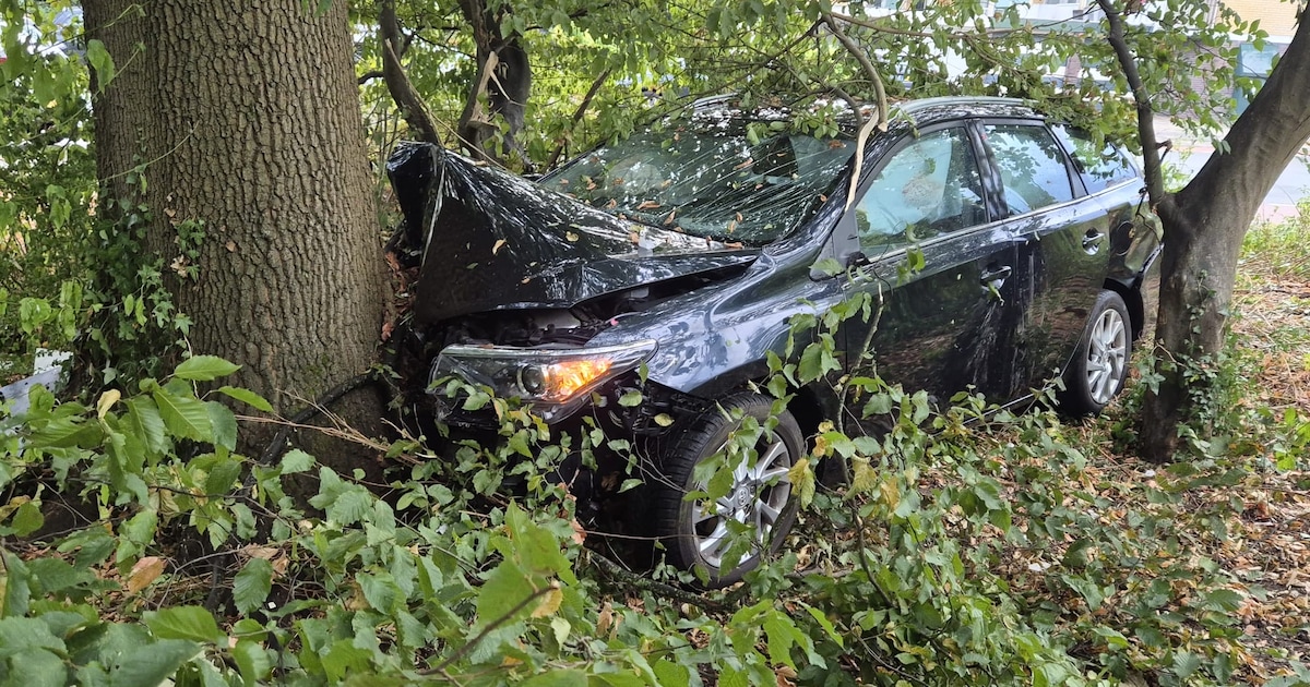 Auto rijdt rechtdoor op rotonde en botst tegen boom in Amstelveen