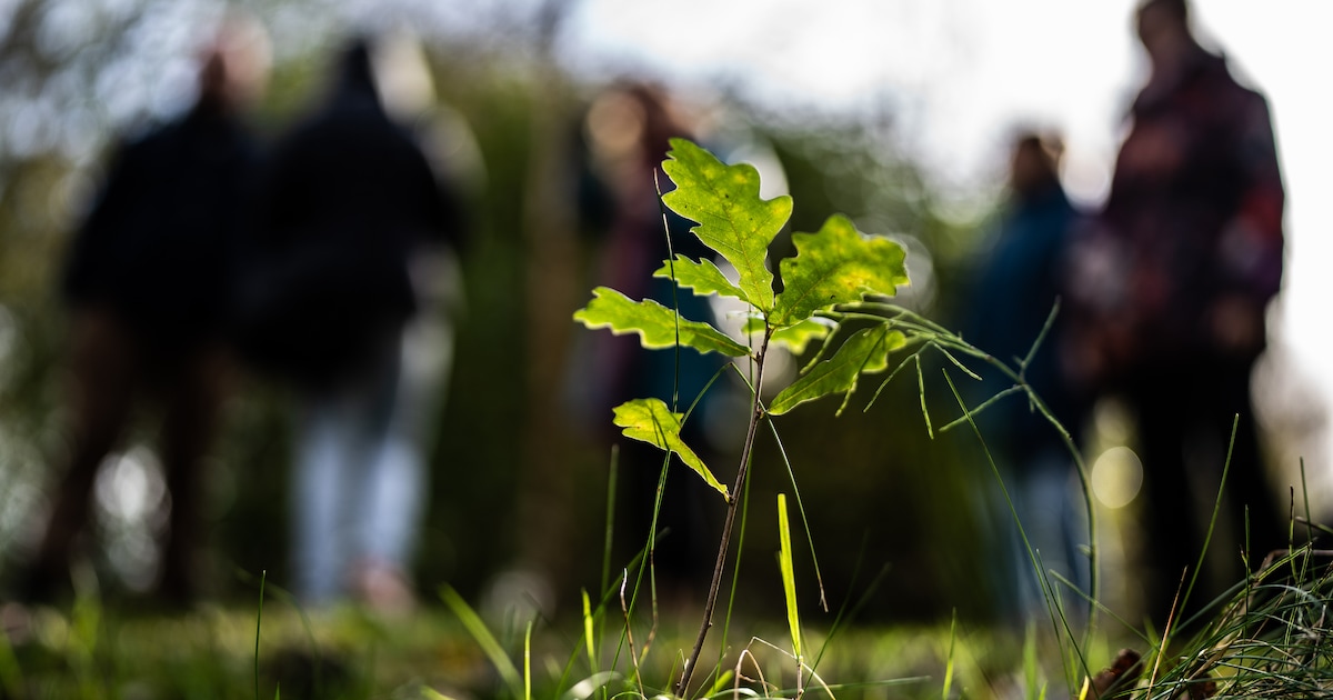 Leidse Duurzame Huizen Dagen dit jaar in teken van biobased isolatie