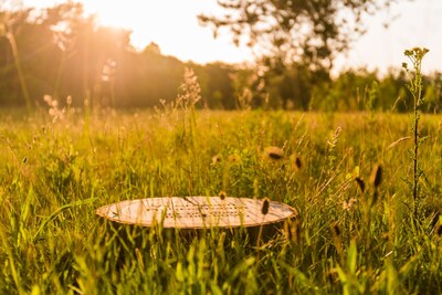 Komt er een natuurbegraafplaats in Otterlo? Grond van oud paardencentrum opgekocht