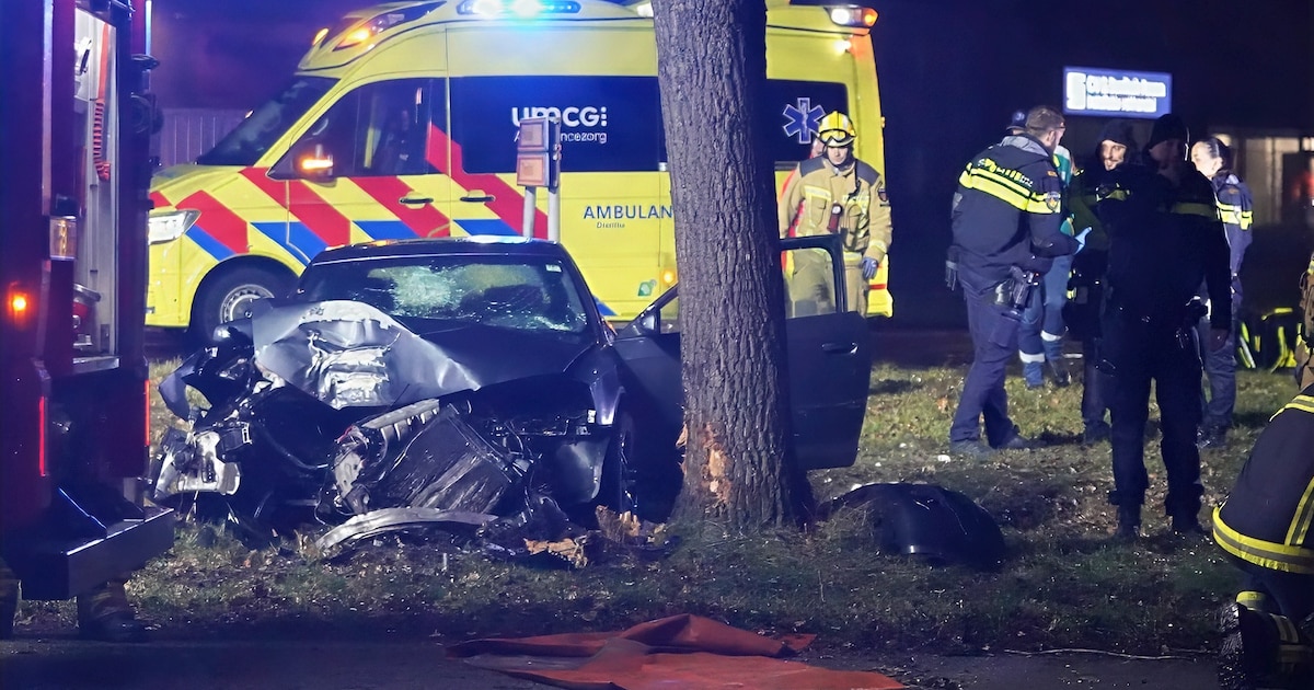 Auto botst frontaal tegen boom op Stelmakerstraat in Assen, bestuurder zwaargewond