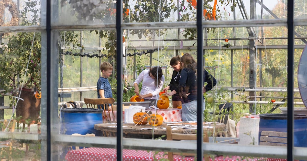 Herfstmarkt Beleef de Bredelaar in Elst toont streekproducten en ambachten