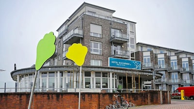 Image related to the article