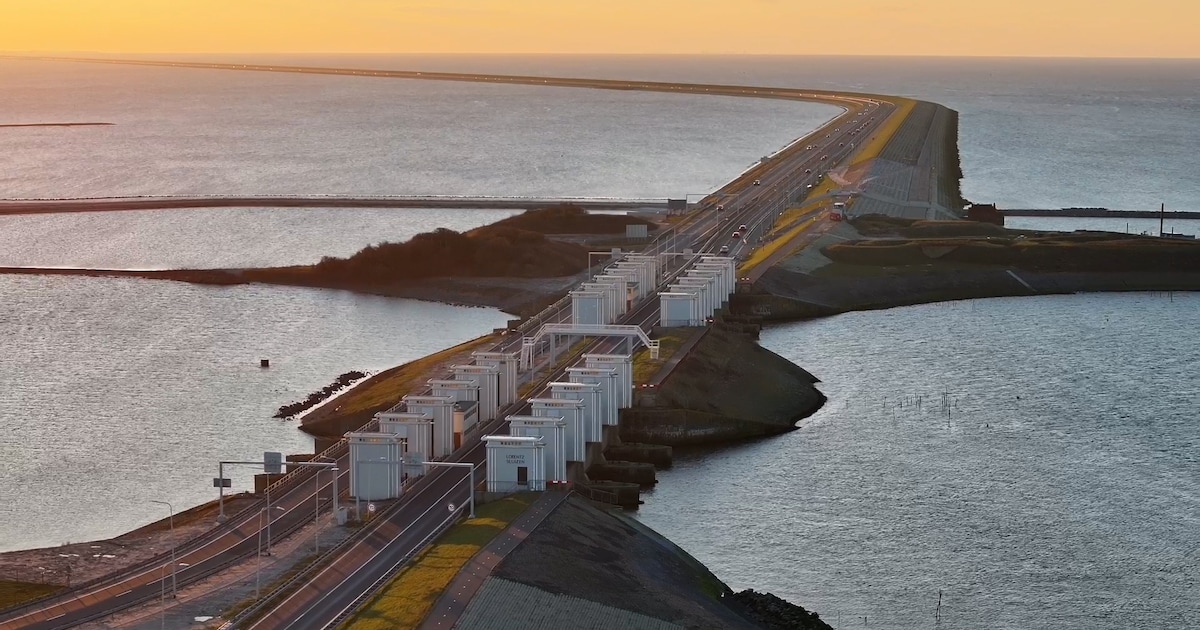 ‘Vissen die proberen het IJsselmeer te bereiken, stranden bij Gemaal Stroink’
