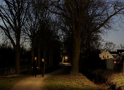 Image related to the article