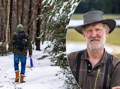 Image related to the article