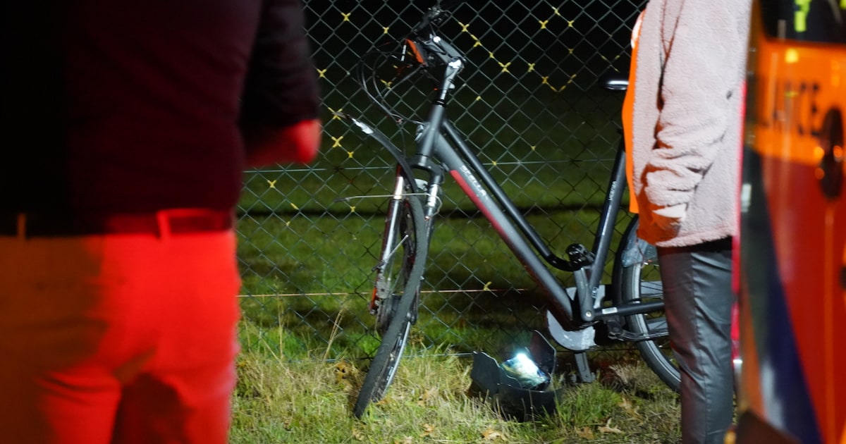 Gezocht: jongen die op scooter vanuit Wezep kwam en meisje aanreed bij ’t Loo