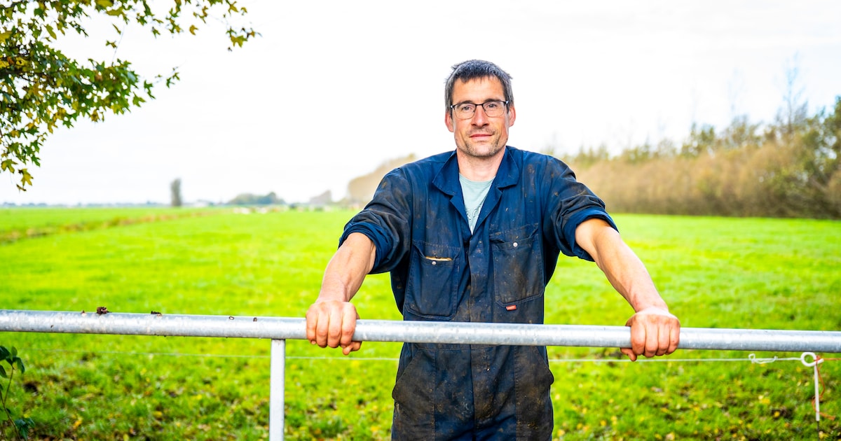 In polder komt weidevogelparadijs, maar dieren werden er juist weggejaagd: werkzaamheden stilgelegd