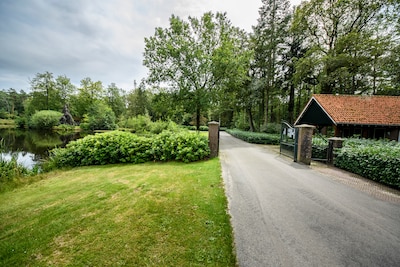 Image related to the article