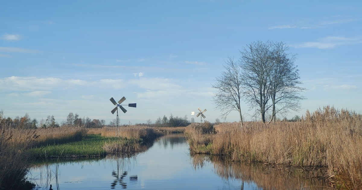 Provincie Overijssel betrekt inwoners bij nieuwe natuurverbinding bij Ossenzijl