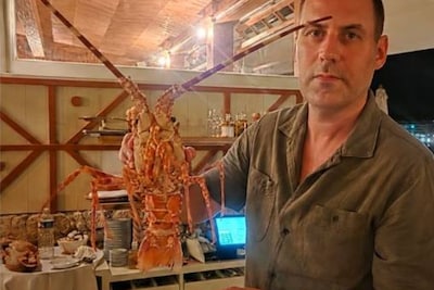 ‘Ik was geschokt’: dierenvriend betaalt 300 euro in restaurant om leven van ‘lekkernij’ te redden