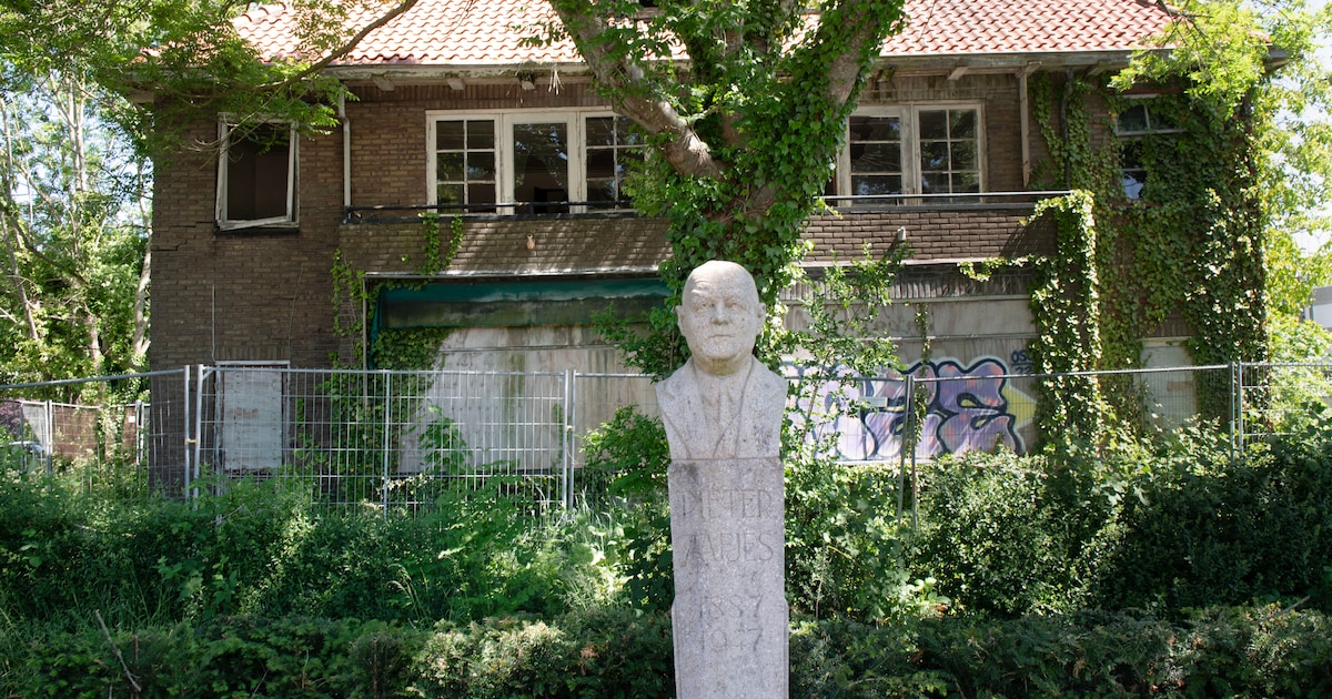 Culemborg koopt vervallen villa’s: ‘Belangrijke stap vooruit’