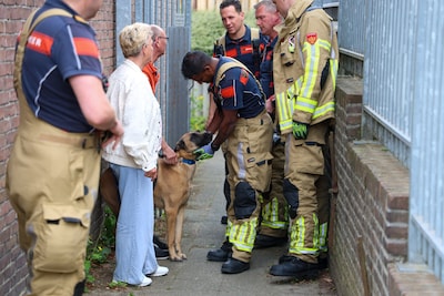 Brandweer bevrijdt klemzittende herdershond in Arnhem