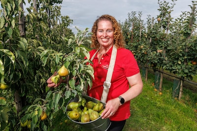 Emotionele laatste appelplukdag voor Paulien, die stopt met De Haarse Gaard: ‘Ik kon dat gevoel niet