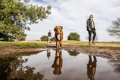 Lezers reageren op dreigende drukte rond uitlaatplek : ‘Ligt het probleem dan aan de parkeerplekken 