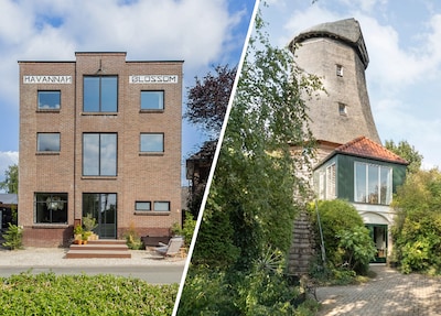 Omgetoverde molen, sigarenfabriek en klushuis aan het water: deze huizen openen vandaag hun deuren v