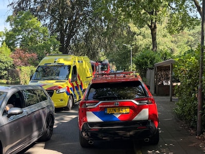 Bestuurder rijdt tegen garagedeur in Ede