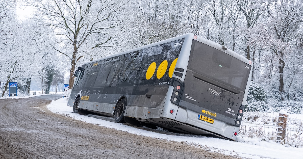 Bus raakt van de weg in Peest, passagiers ongedeerd