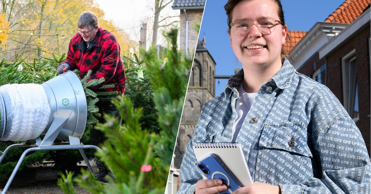 Kerstbomen kosten meer geld: is het te duur?
